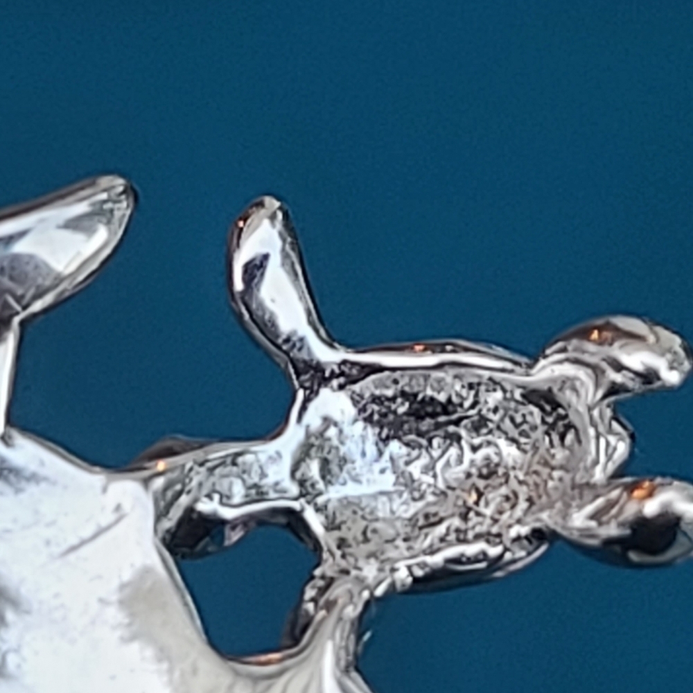 Sterling Silver Turtle Necklace | Opal | Mom and hatchling - Picture 5 of 7